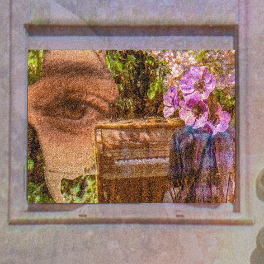 Cover Art Aminala - Windows