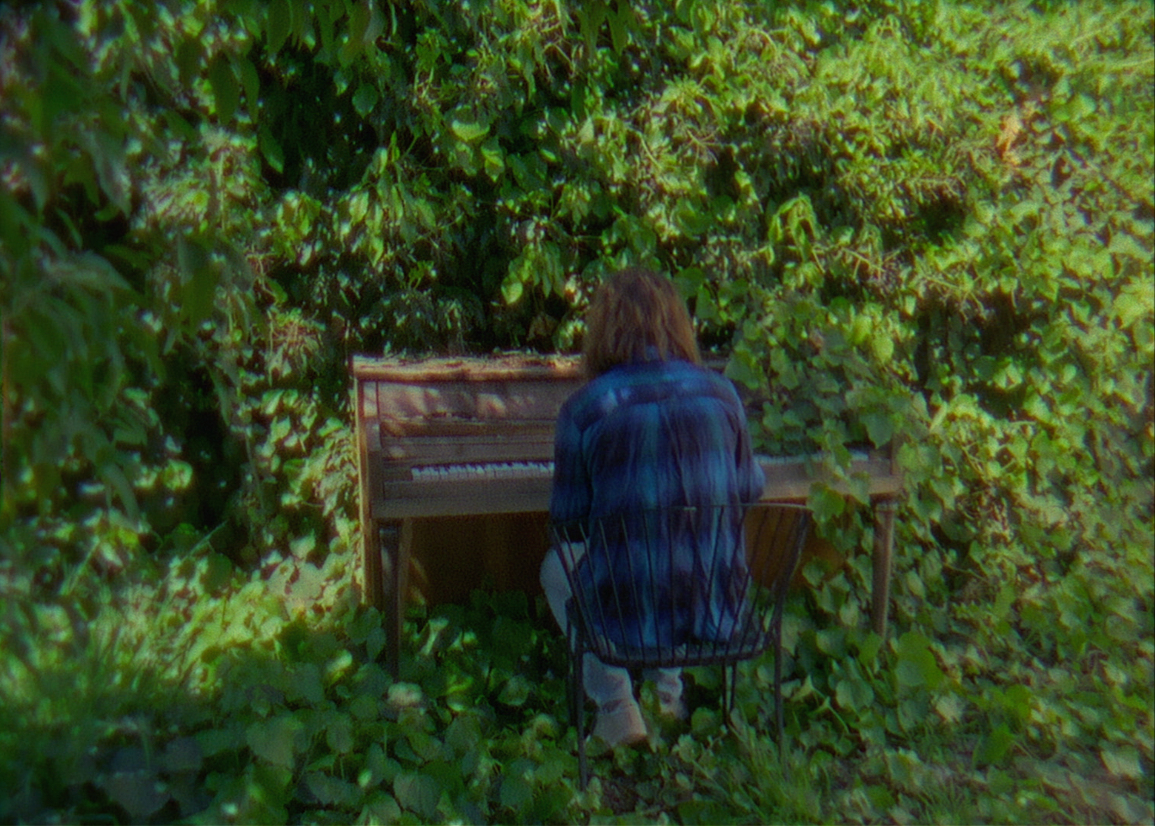 Piano Forest